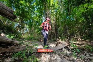 BIB: 
                            <button type="button" onclick="openModal(19389106)" class="btn btn-primary btn-sm float-right btn-popup" data-toggle="modal" data-target=".modal-high-quality">
                        <i class="fas fa-shopping-cart"></i> Add to Cart
                    </button>
                                            <button type="button" onclick="isThisMe(19389106, true)" class="btn btn-success btn-sm float-right btn-popup btn-isme hidden" data-toggle="tooltip" data-placement="bottom" title="นี่คือรูปของคุณใช่ไหม คลิกที่นี่เพื่อเอาเข้าอัลบั้ม">
                        <i class="fas fa-plus"></i> Add to album
                    </button>
                    <button type="button" onclick="isThisMe(19389106, false)" class="btn btn-warning btn-sm float-right btn-popup btn-isnotme hidden">
                        <i class="fas fa-ban"></i> Remove from album
                    </button>